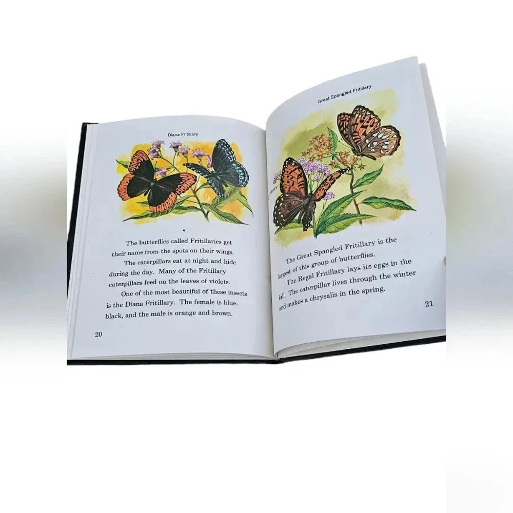 Sweet Little Vintage Book of Butterflies- Published in 1961​​​​​ - Picture 4 of 6